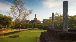 Xl Sri Lanka Polonnaruwa Panorama Rankoth Vihara Golden Pinnacle Pagoda