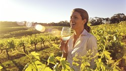 XL Australia Barossa Valley Vineyard Winery Woman Drinking Wine Field Grapes People South Australia