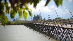 Xl Vietnam Hoi An Bike Tour Bridge