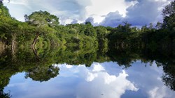 XL Brazil Amazon River Reflections Nature Landscape