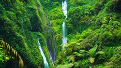 XL Indonesia Java Madakaripura Waterfall, East Java