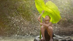 Xl Vietnam Boy Seeking Shelter Leaf Rain Kid Child