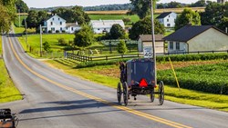 XL USA Pennsylvania Amish Buggy Goes Down Road In Rural Pennsylvania