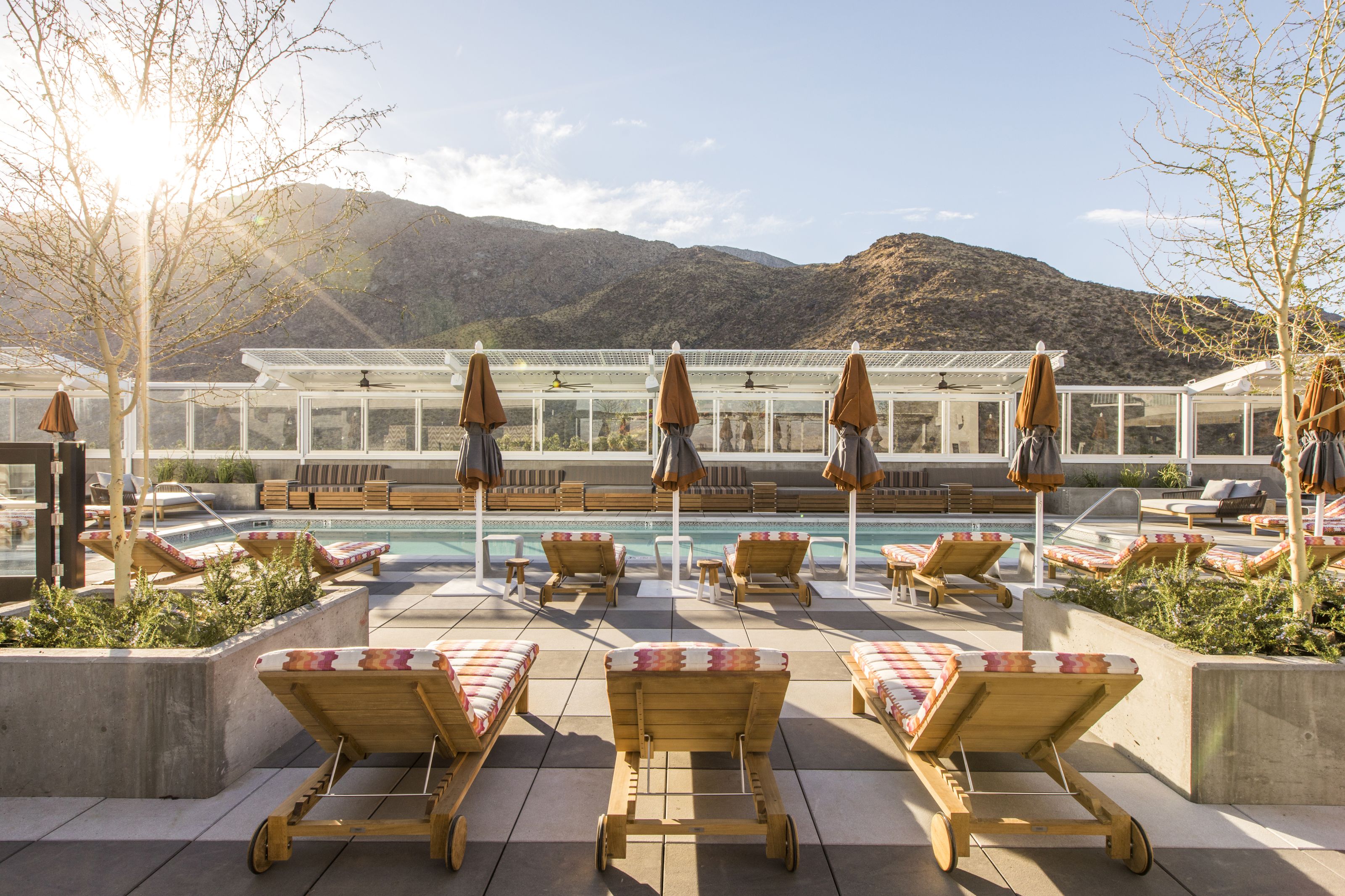 XL USA California Kimpton Rowan Palm Springs Pool