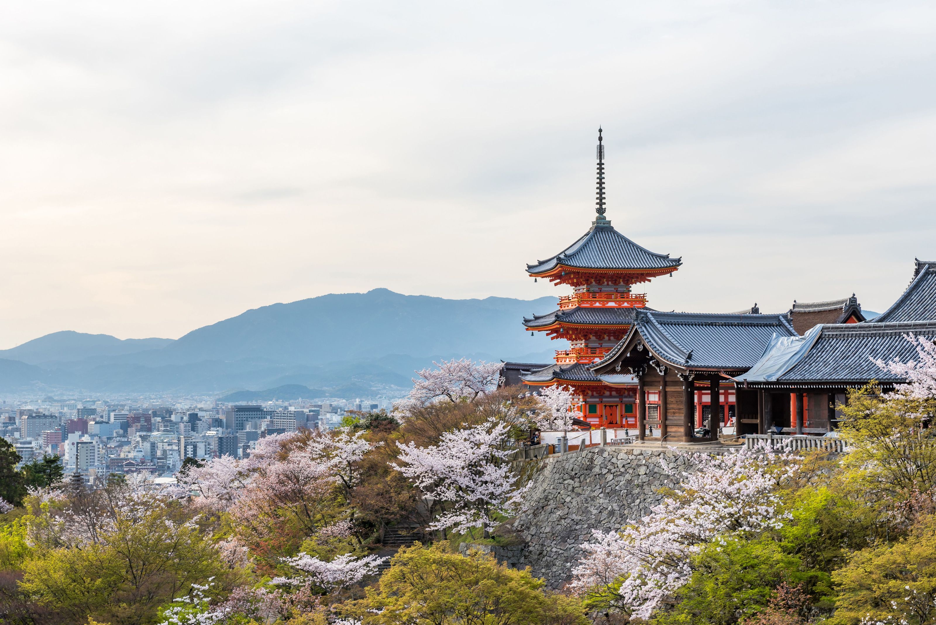 Xl Japan Kyoto Kiyomizu Dera Temple Spring Cherryblossoms