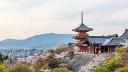 Xl Japan Kyoto Kiyomizu Dera Temple Spring Cherryblossoms