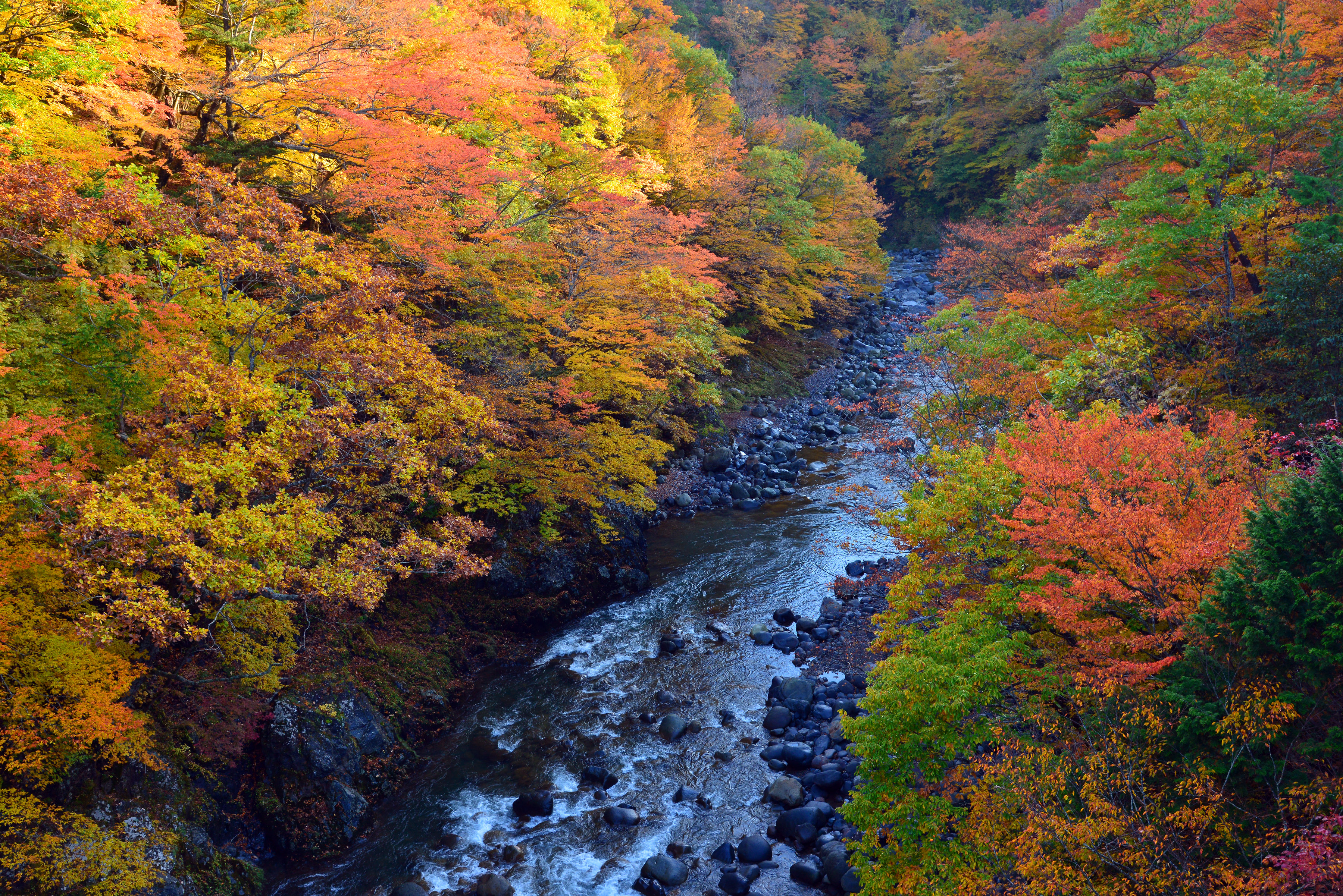 Xl Japan Kiso Valley River Autumn