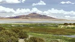 Bolivia Atacam Desert Salar De Tara