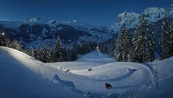 Mini Switzerland Grindelwald Sleigh Night Panorama