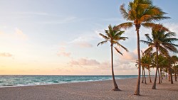 Xl Usa Florida Miami Beach Sunrise Palm Trees