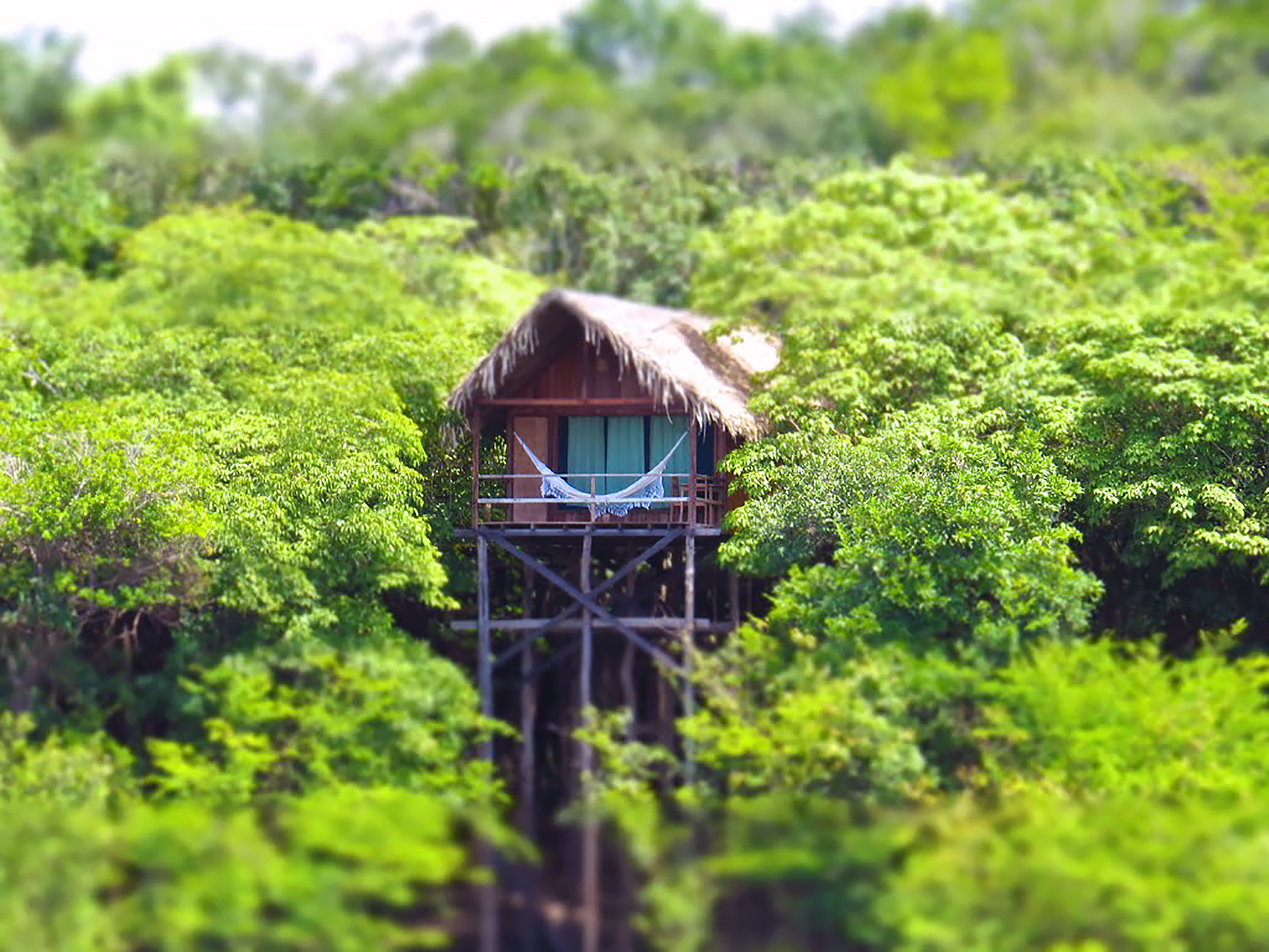 Xl Brazil Juma Lodge Amazonas