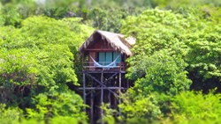 Xl Brazil Juma Lodge Amazonas