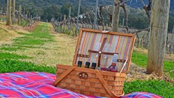 XL Australia New South Wales Hunter Valley Audreywilkinson Picnic