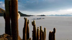 Xl Bolivia Kachi Lodge Aerial Cactus