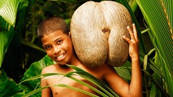 XL Seychelles Praslin Coco De Mer Boy People Nature