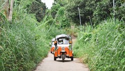 Xl Thailand Chiang Mai Tuk Tuk Narrow Road