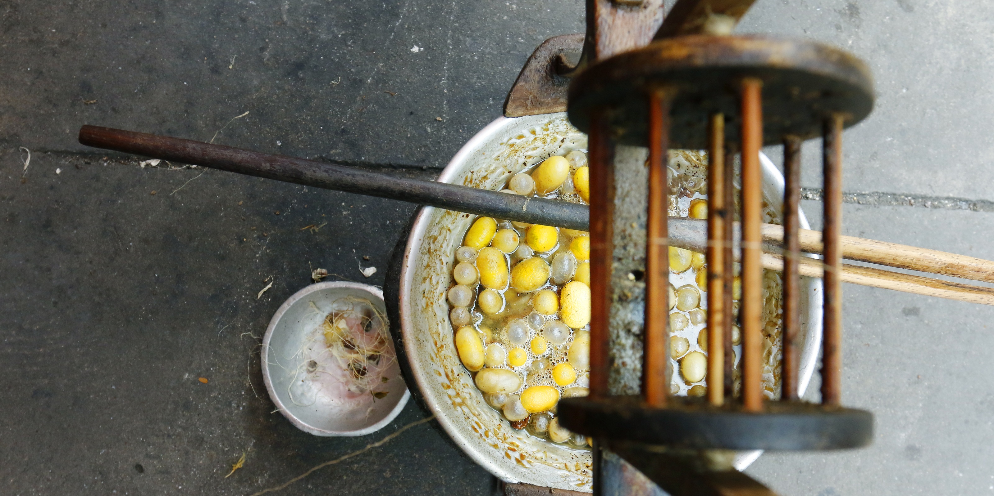 XL Cambodia Silk Cocoon Manufacturing