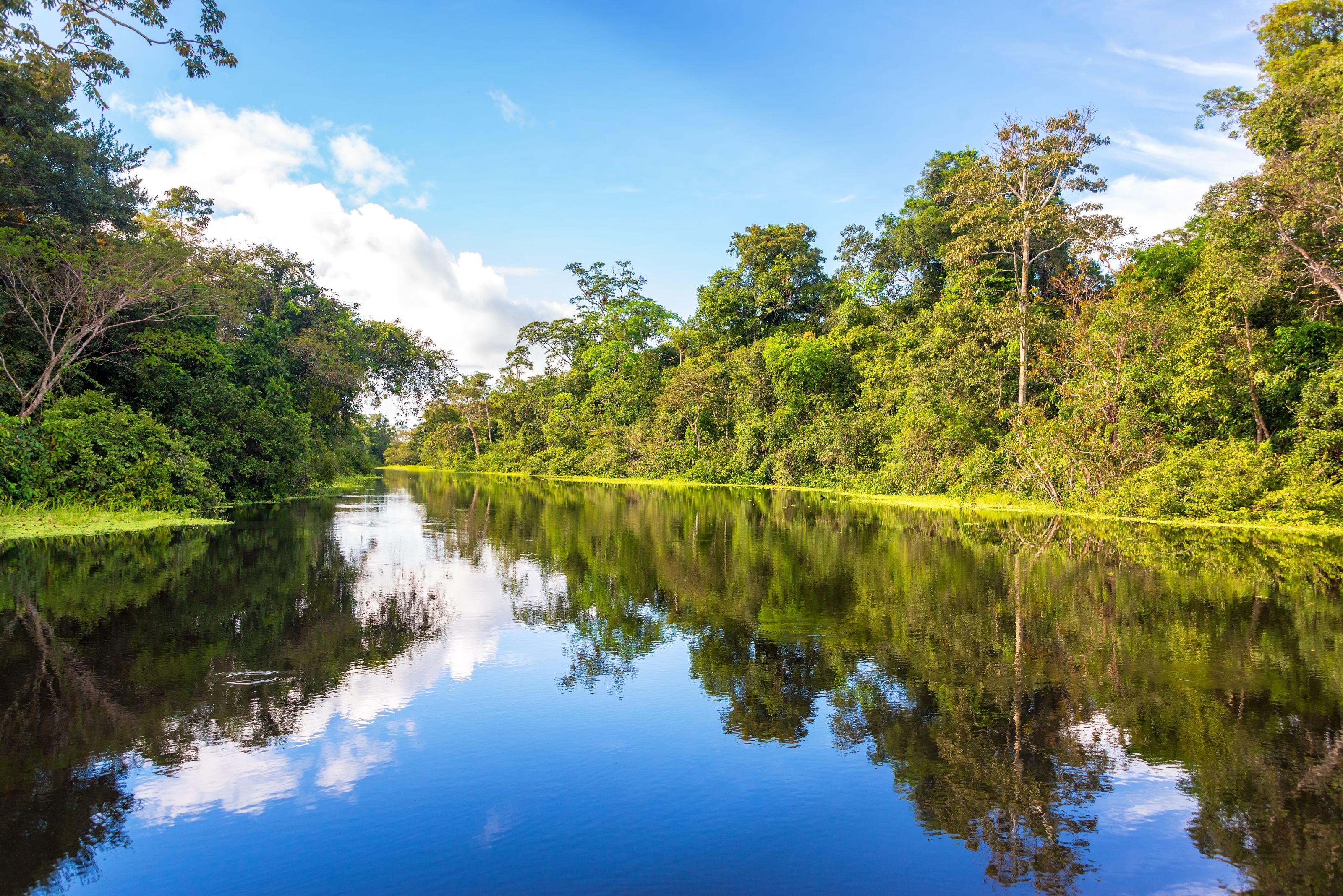 XL Peru Amazon Rain Forest Reflections River Near Iquitos