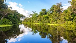 XL Peru Amazon Rain Forest Reflections River Near Iquitos