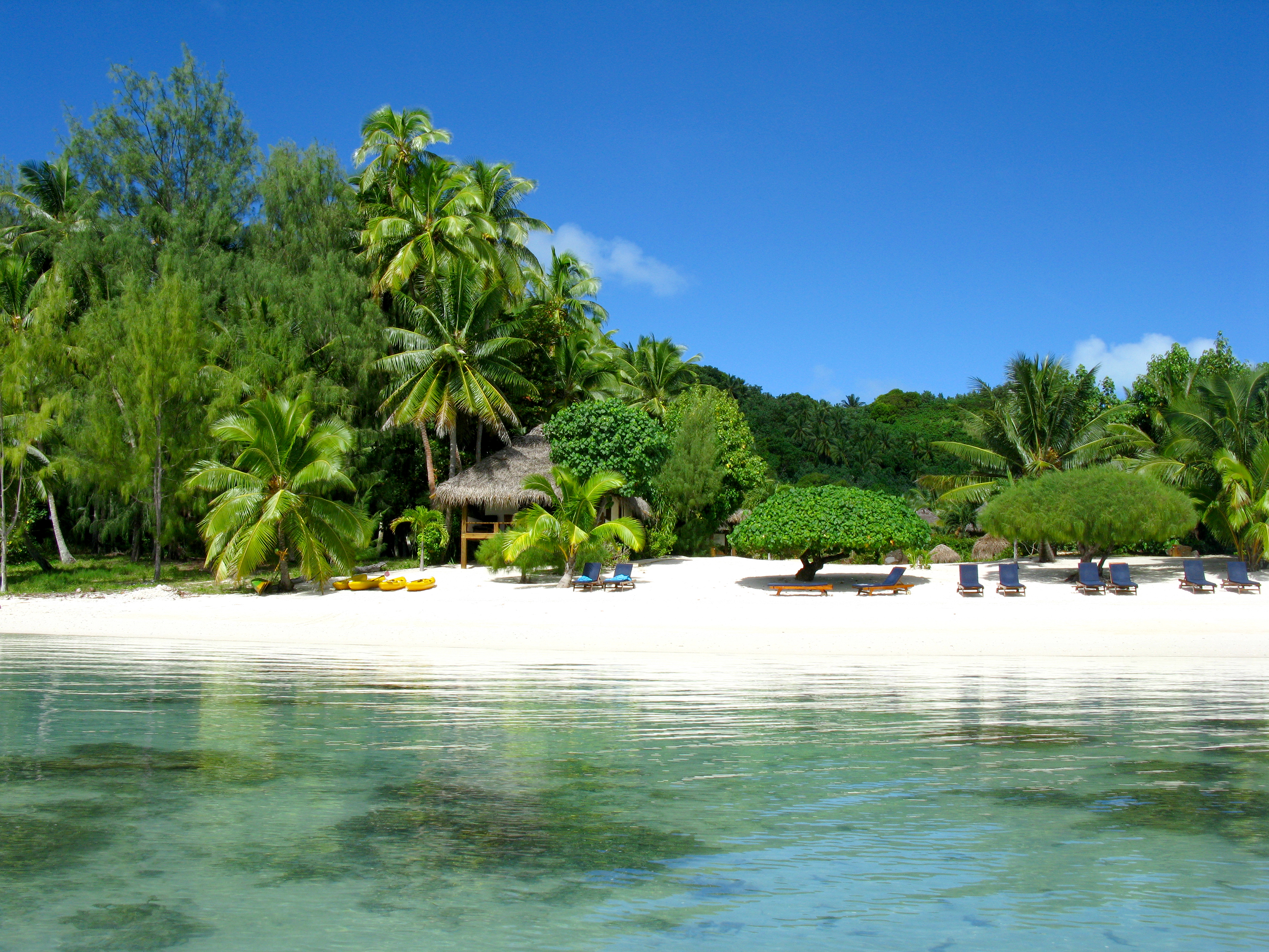 Xl Cook Isaland Arriving In Paradise