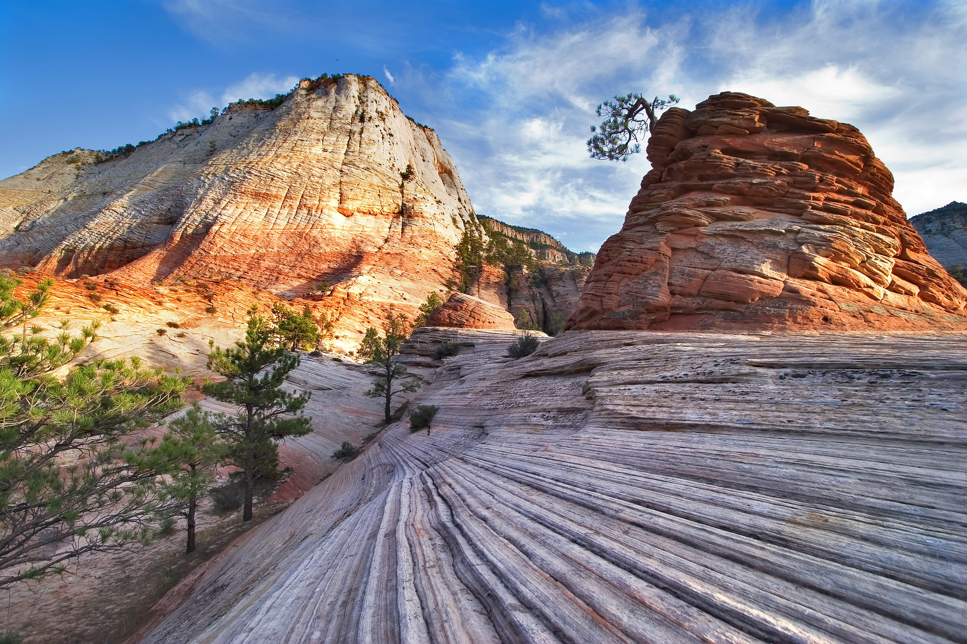 XL USA California National Park Yosemite