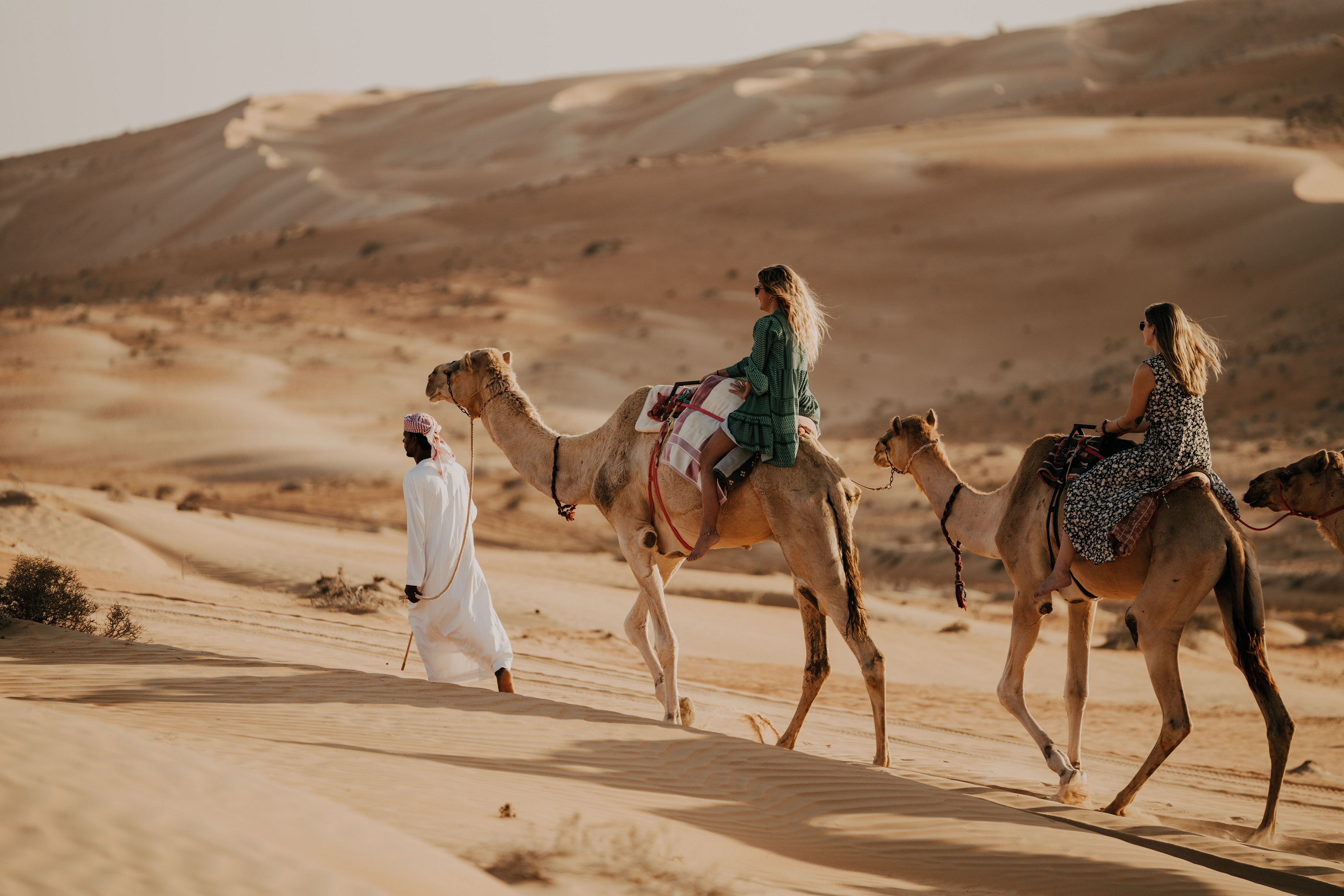 XL Oman Canvas Club Camels Desert Canvas Club