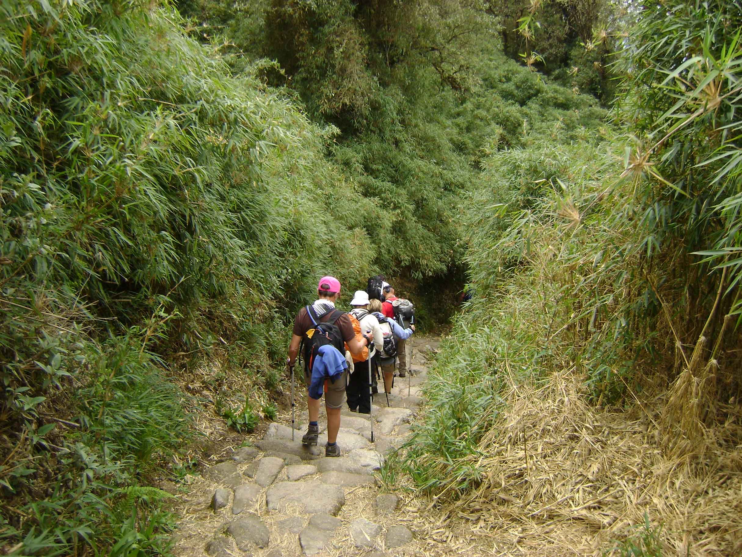 Xl Peru Inca Trail Trekking Hiking Hikers Down Hill