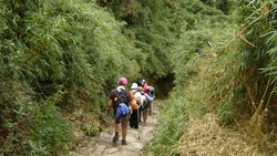 Xl Peru Inca Trail Trekking Hiking Hikers Down Hill