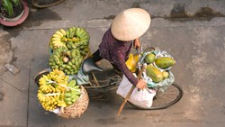 Xl Vietnam Saigon Ho Chi Minh City Street Fruits Bicycle Vendor