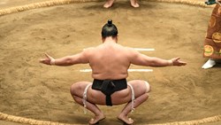 Xl Japan Tokyo Sumo Tournament Competition