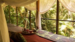 Xl Australia Queensland Silky Oaks Lodge Daintree Rainforest Lodge Suite Balcony