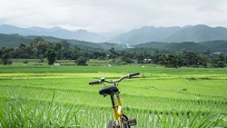 Xl Vietnam Nha Trang Biking Tour Bike Nature