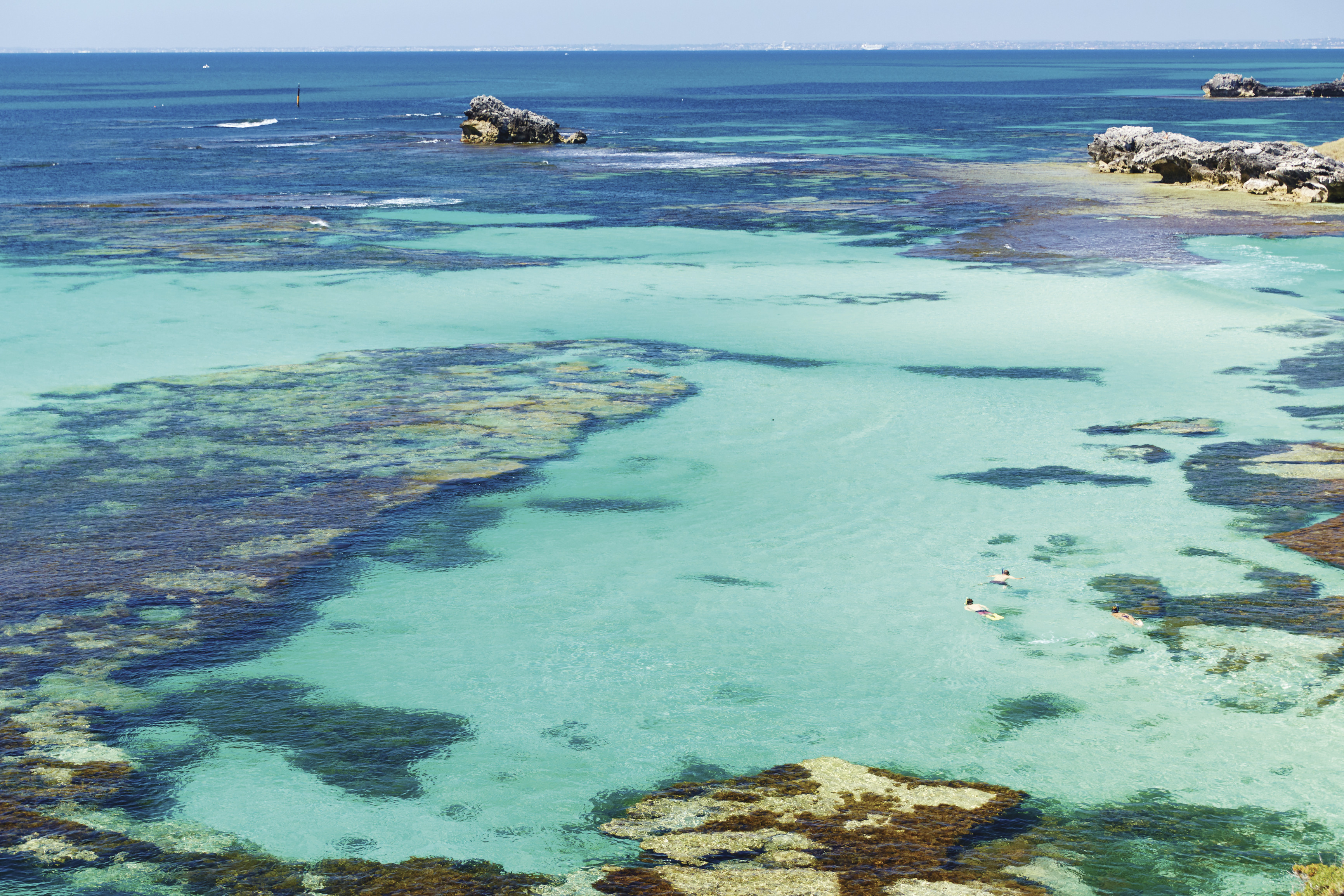 Xl Australia WA Rottnest Island Ocean Swim