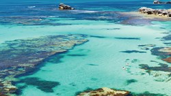 Xl Australia WA Rottnest Island Ocean Swim