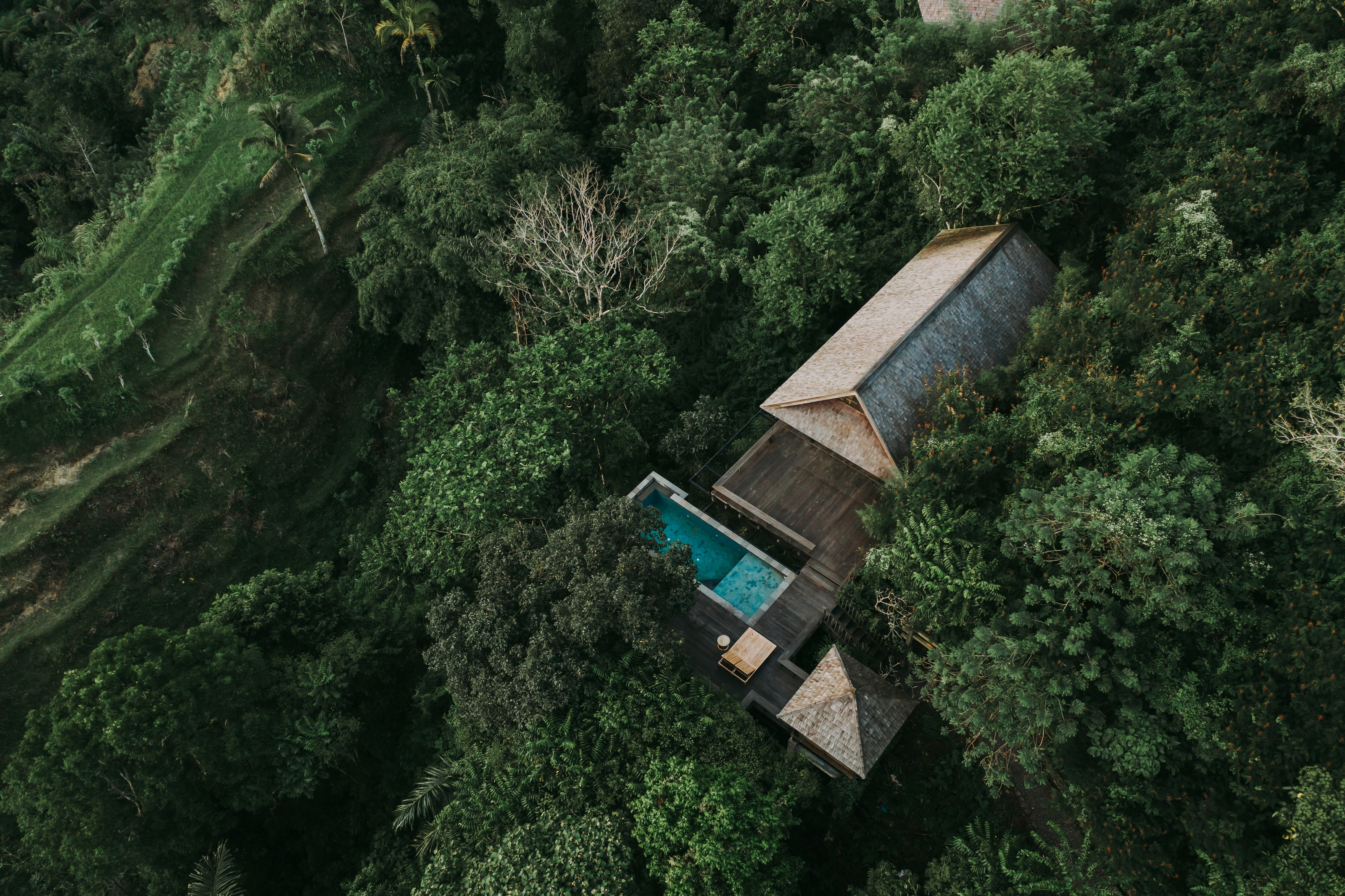 Xl Bali Buahan Banyan Tree Buahan Riverside Jungle Pool Aerial View 2