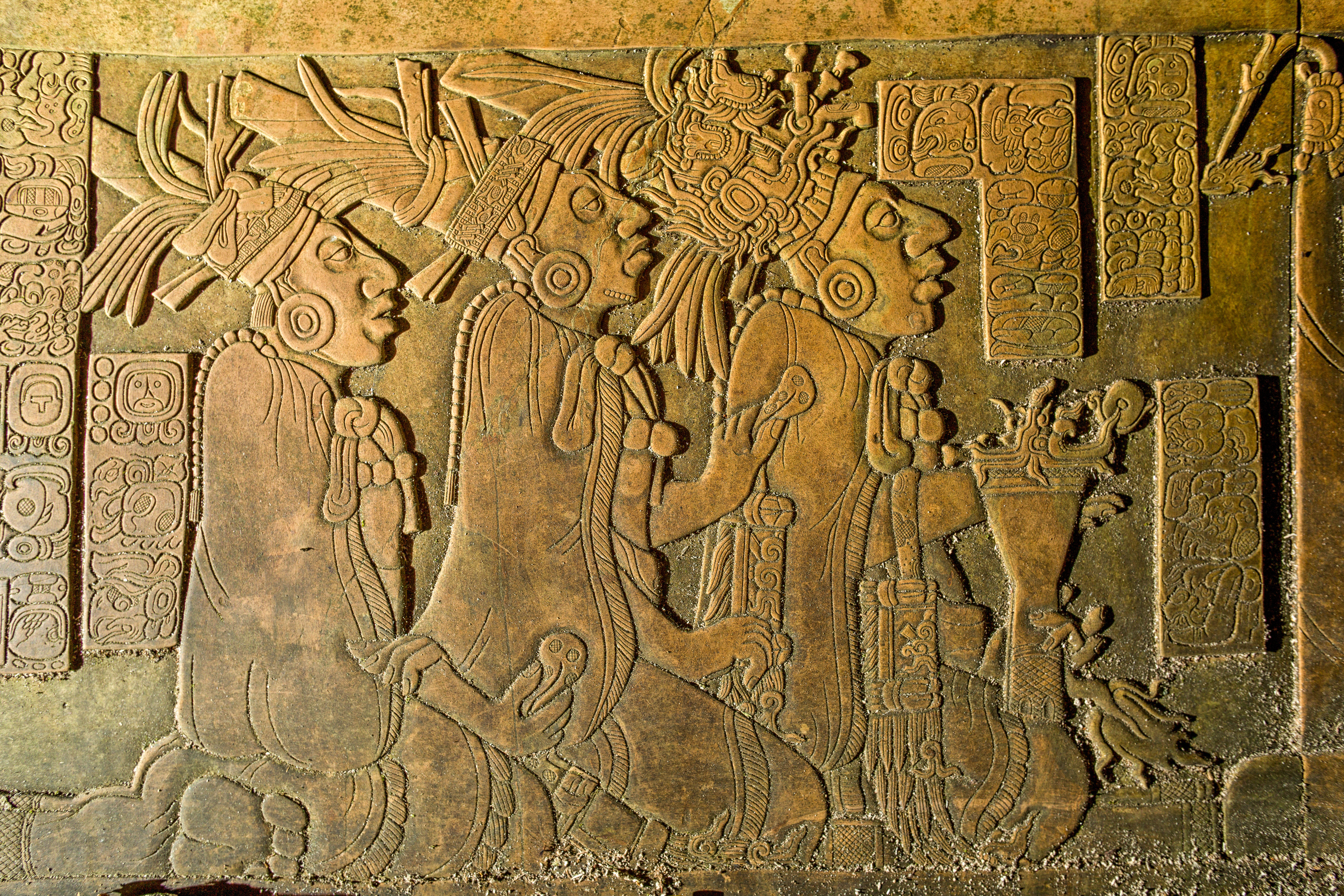 Shutterstock 722794084