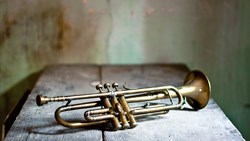 XL USA Music Jazz Trumpet