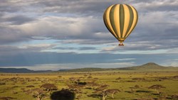 XL Tanzania Serengeti Hot Air Balloon Safari Flying Over Trees