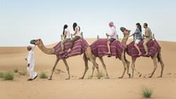 Xl Dubai Desert Conservation Centre Camel Safari Walking