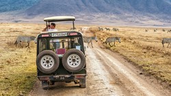 XL Tanzania Ngorongoro Crater Safari Game Drive