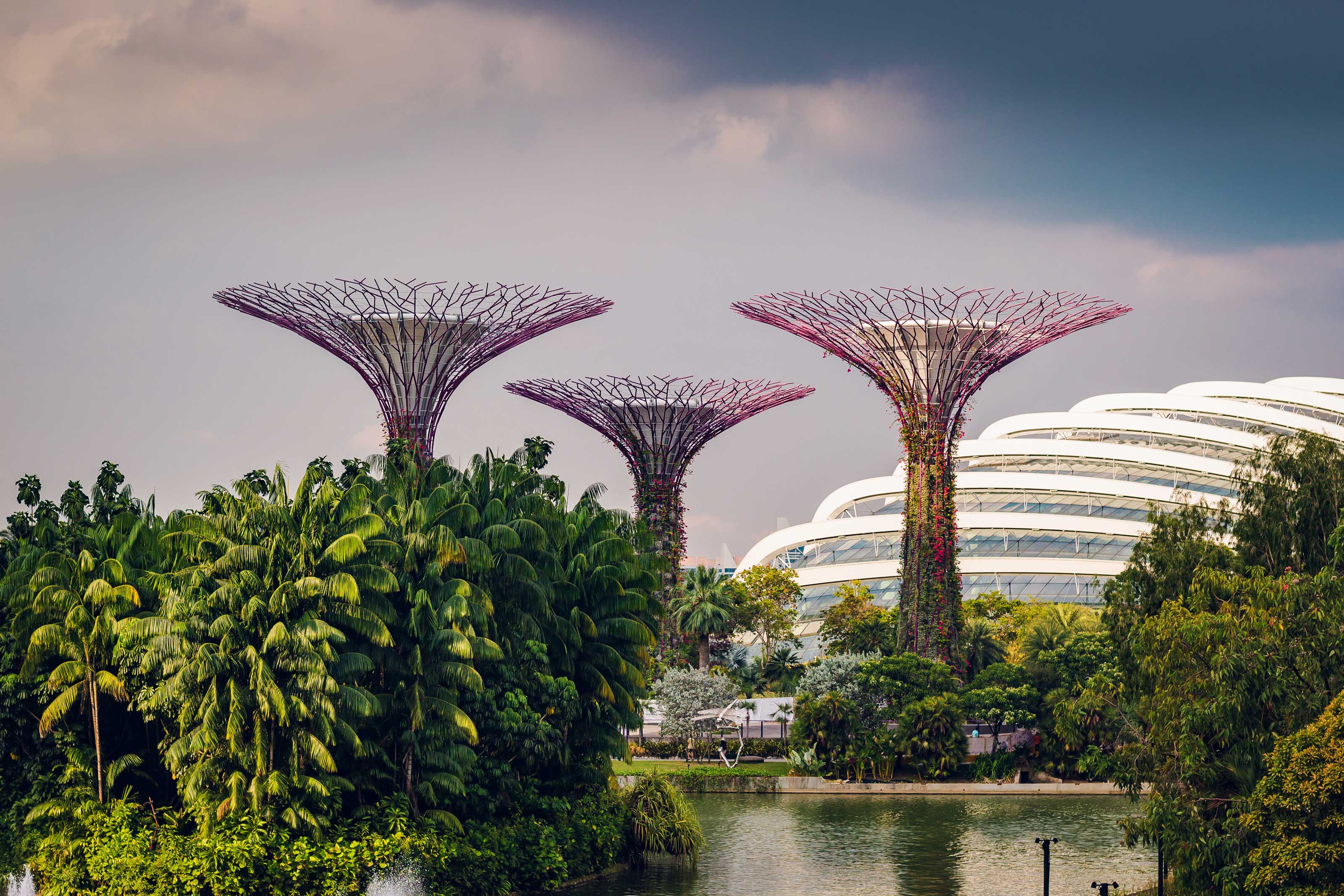 Xl Singapore Garden By The Bay