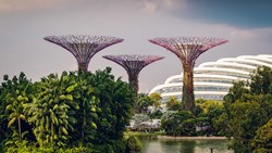 Xl Singapore Garden By The Bay