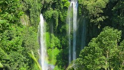 XL Bali Sekumpul Waterfall Cluse