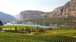 XL Canada Okanagan Valley Vineyard Scenic, British Columbia