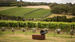 XL Australia Victoria Mornington Peninsula Montalto Winery Vineyards