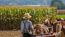 XL USA Pennsylvania Young Amish Farmer Behind Horses Sowing A Field During The Fall Season
