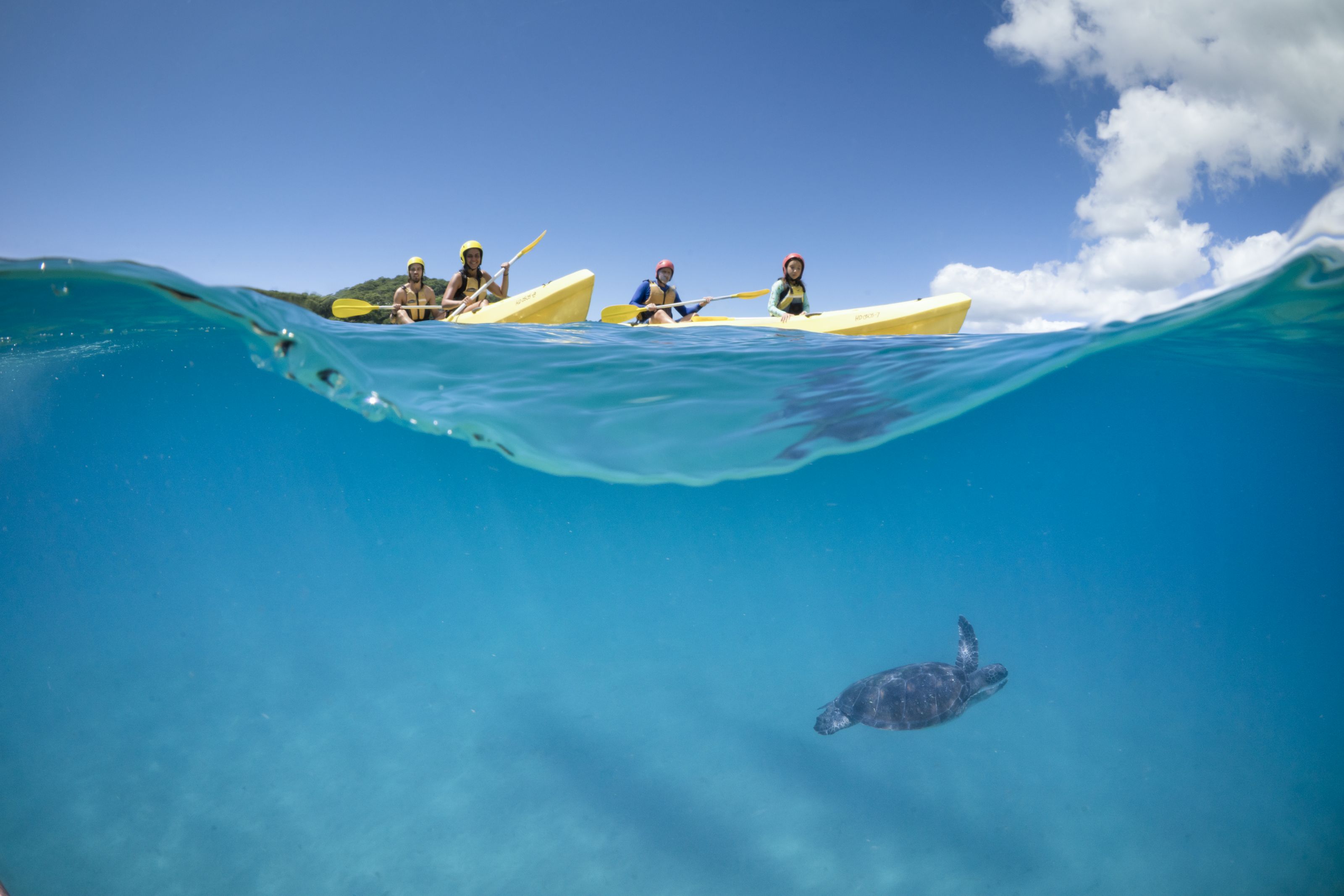 Xl Australia Nsw Cape Byron Kayak Trip Turtle Group
