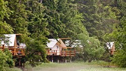 XL Canada Clayoquot Tents Nature