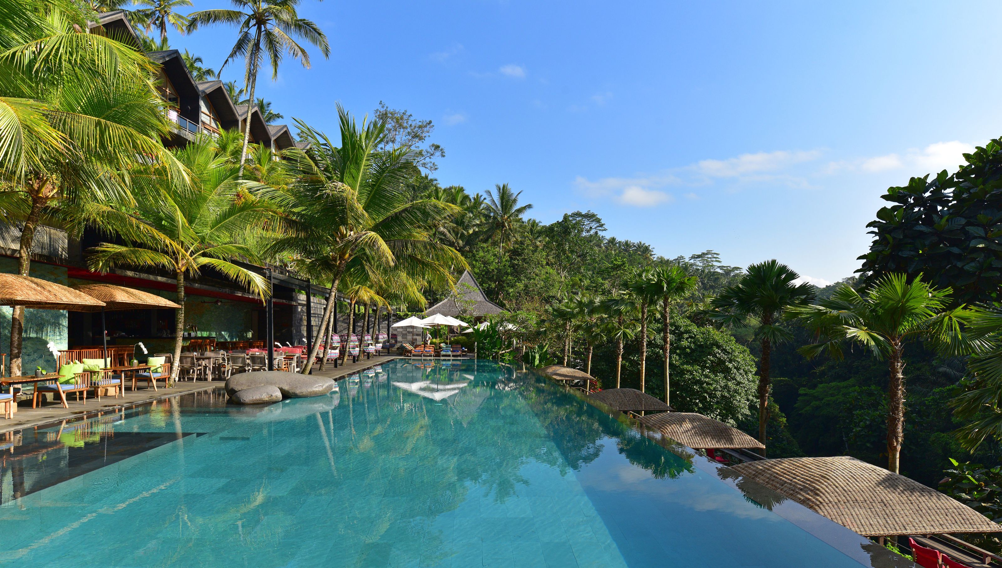 Xl Bali Ubud Chapung Sebali Jungle Fish Pool Bar Infinity Pool