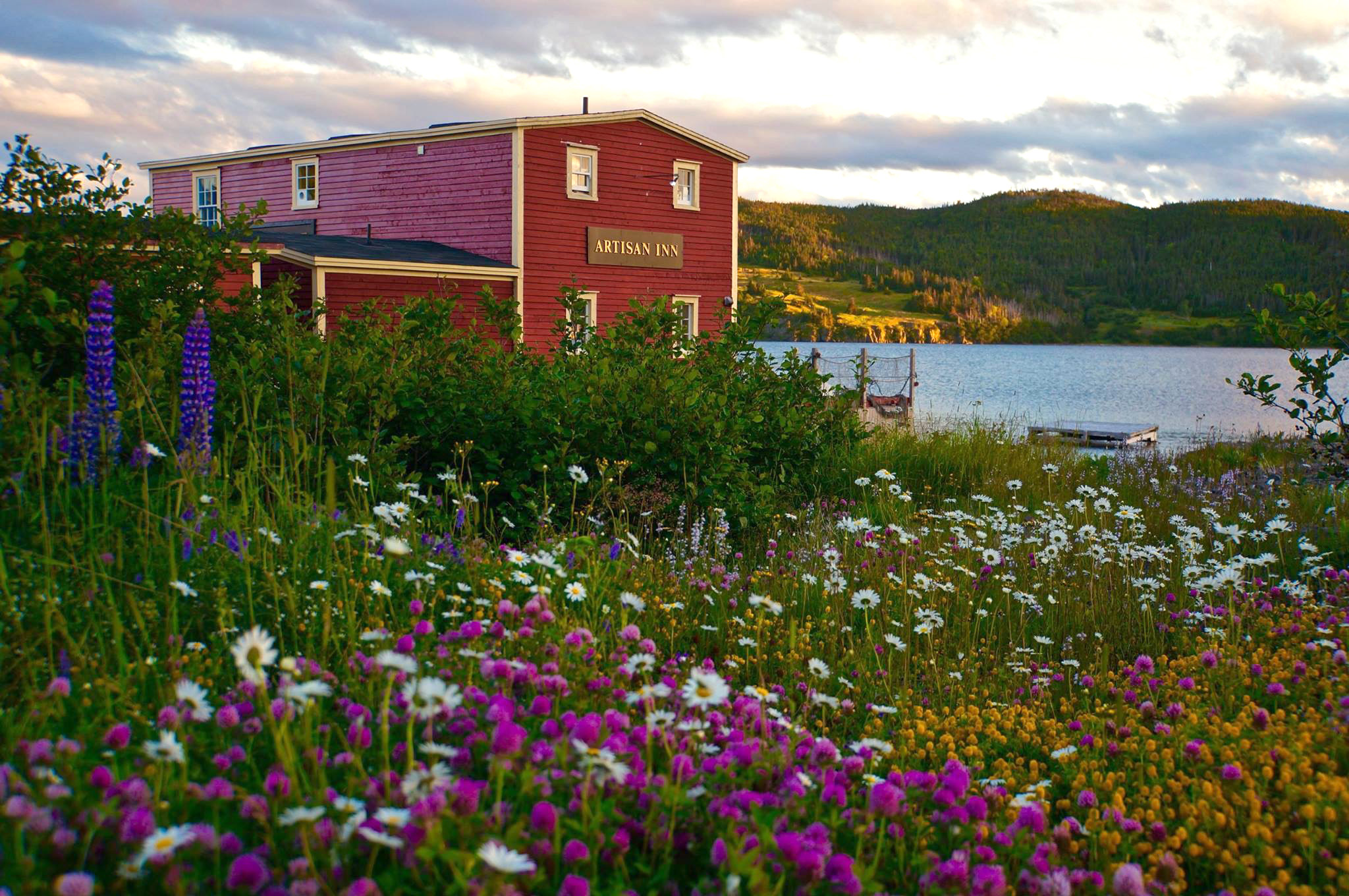 Xl Canada Newfoundland Trinity Artisan Inn Flowers
